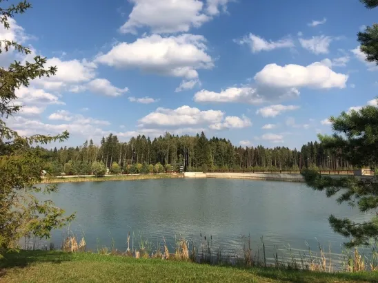 3 к. кв-ра 200 м2.
