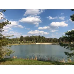 3 к. кв-ра 200 м2.