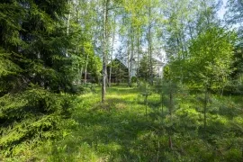 Лесной участок 42 сот в Горки-8