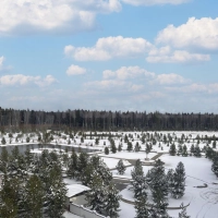 Квартира с видом на лес