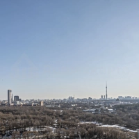 Панорамный вид: жизнь у парков