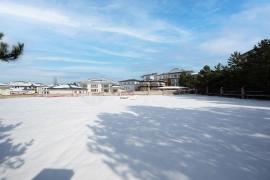 Участок 2,7 Га под резиденцию